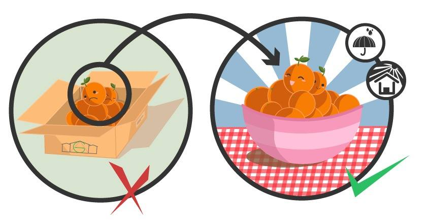 Erreur 404 - Page non trouvée