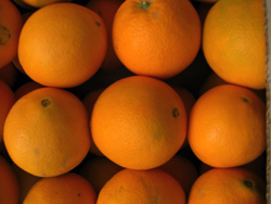Acheter Oranges