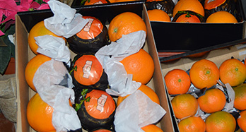 45 Oranges and 28 Mandarines Gourmet